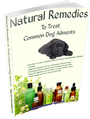 Allergies Home Remedies Related Keywords amp; Suggestions  Dog Allergies 