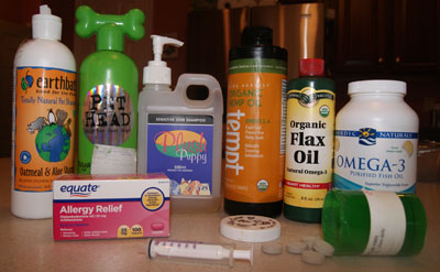 allergy medication for dogs allergy treatment plans allergy medication for dogs allergy treatment plans