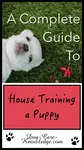 Reclaim your clean house by following this complete house training a puppy guide that includes solutions to common house training problems. 