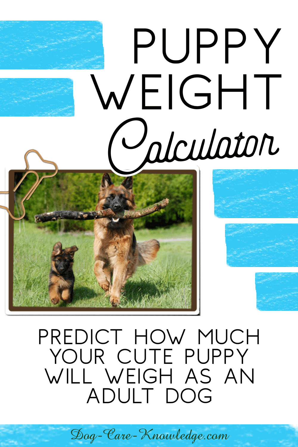 Dog Weight Chart Calculator