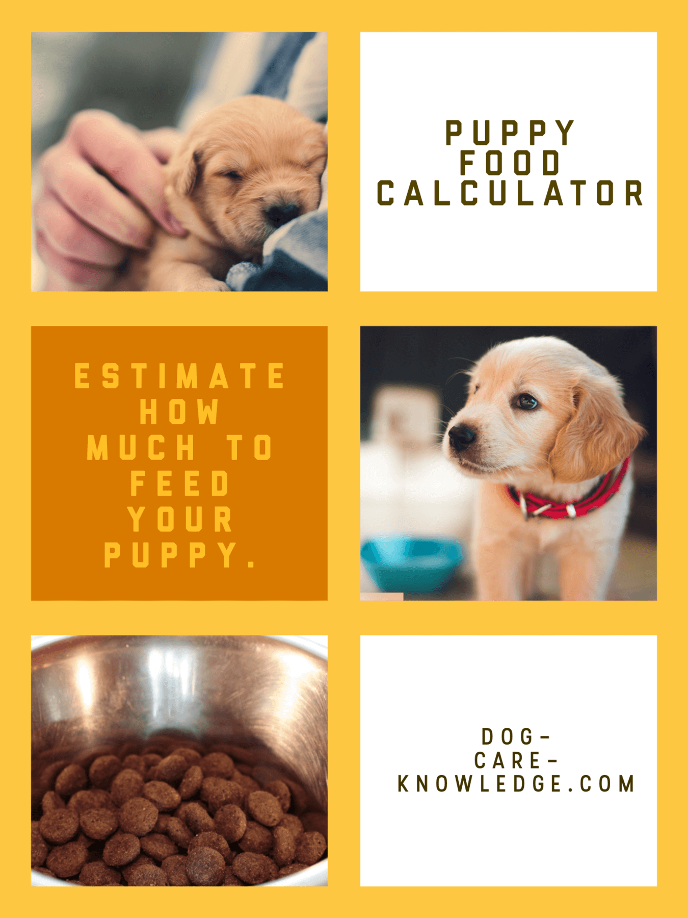 105 puppy food calculator c