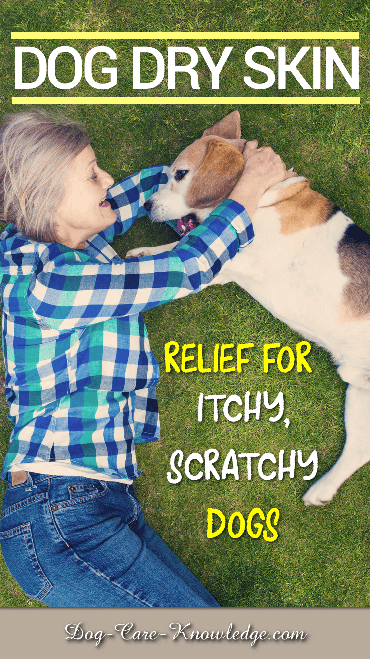 pin - dry skin relief for an itchy dog