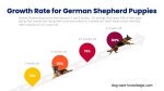 German Shepherd Growth Chart Infographic