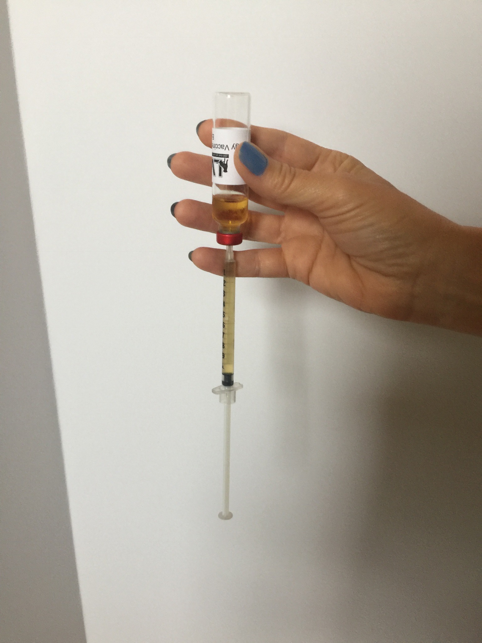 Where To Give A Dog An Allergy Shot Where To Give A Dog An Allergy Shot