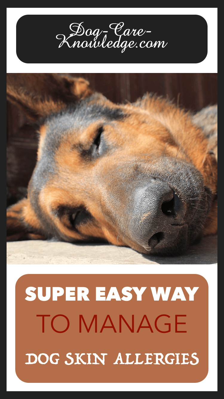 Dog Skin Allergies! This is a Super Easy Way To Manage Them