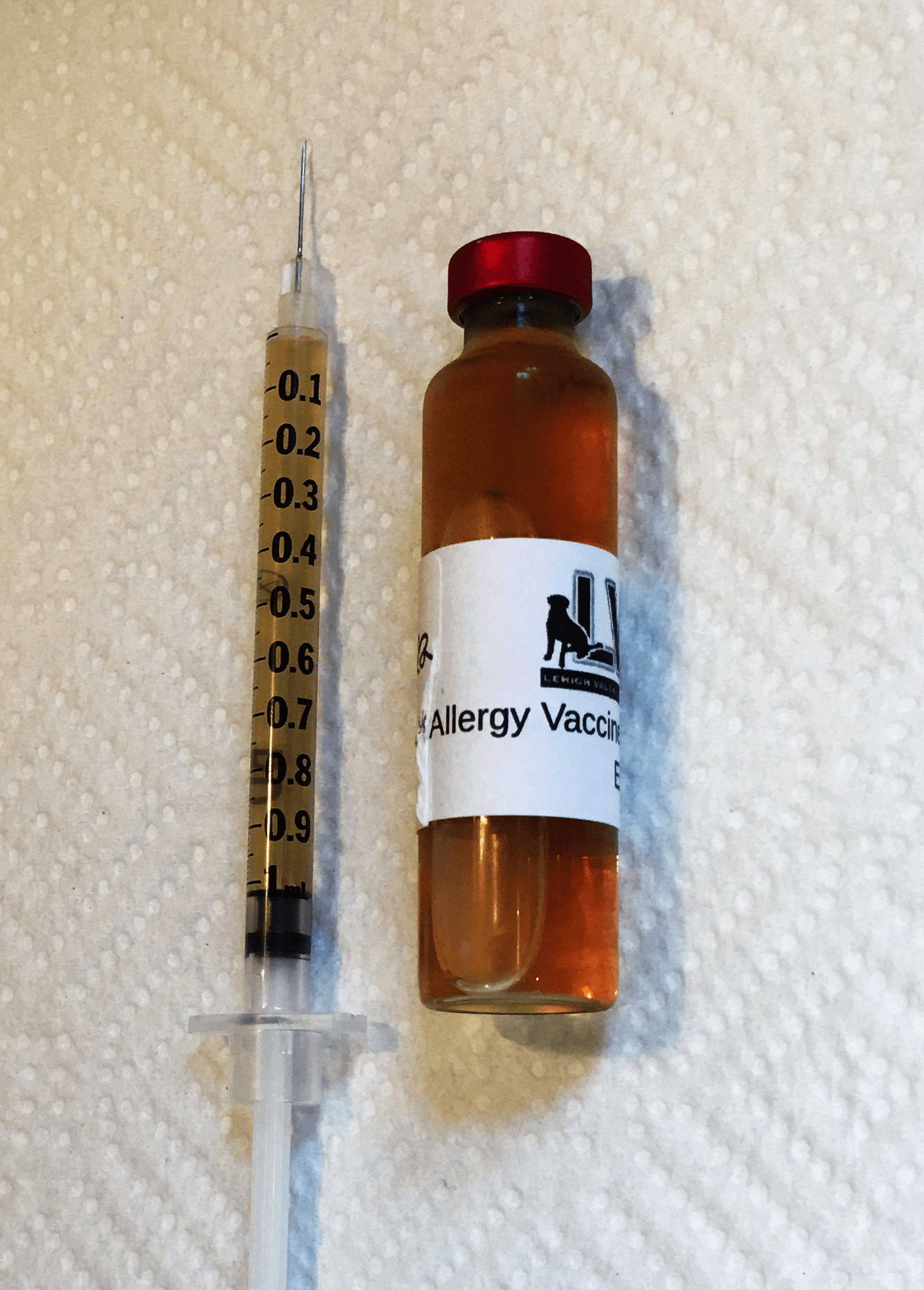 Allergy Shots For Dogs This is How to Boost the Immune System