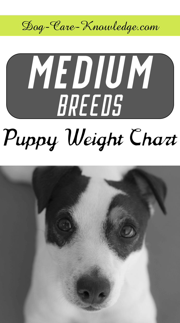Large Dog Breed Weight Chart