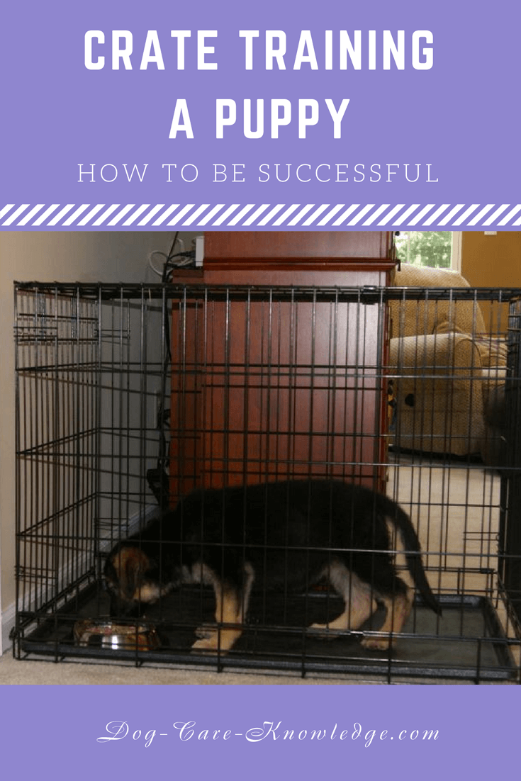 how early can you start crate training a puppy