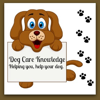 Dog Care Knowledge, helping you help your dog.