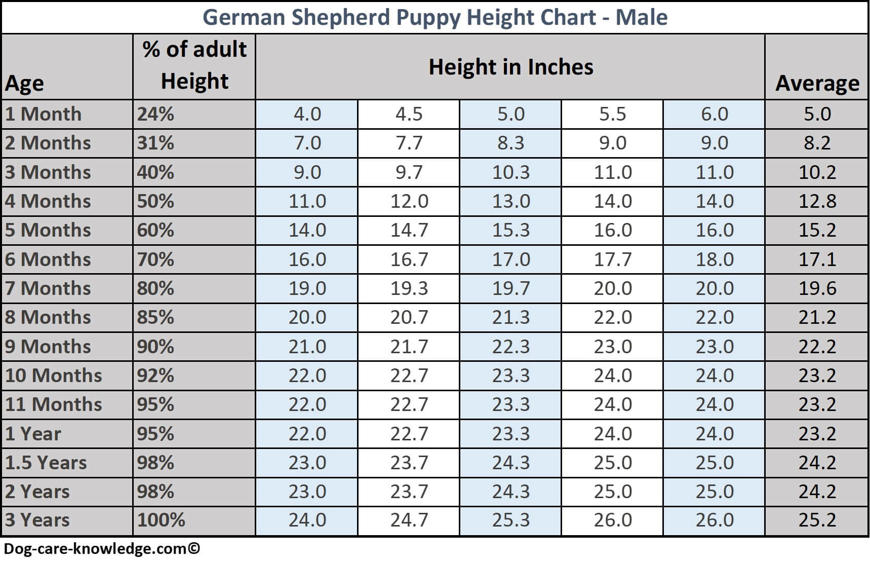 German Shepherd Puppy Weight Chart: Month by Month Growth