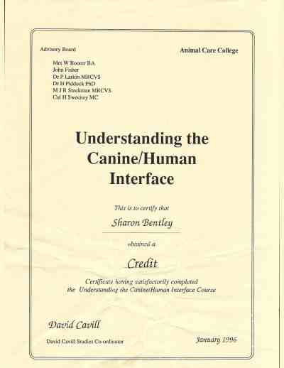 Understanding the Canine/Human Interface Certificate