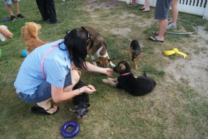 A puppy party is a great way to introduce your puppy to other puppies.