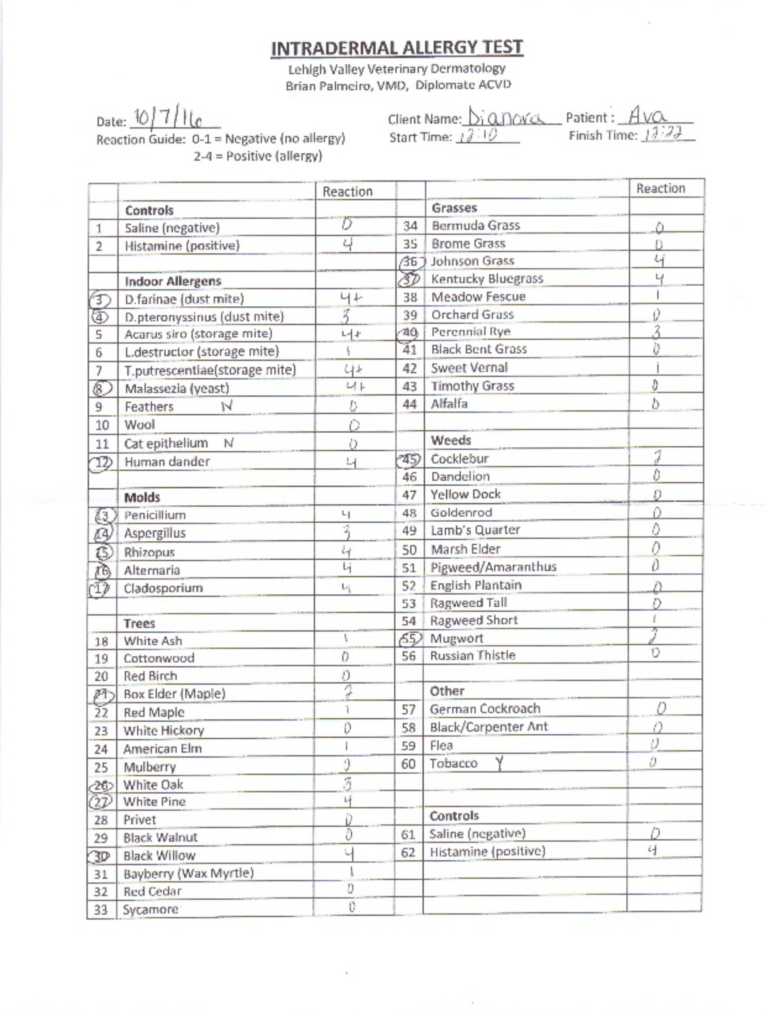 dog allergy test for humans