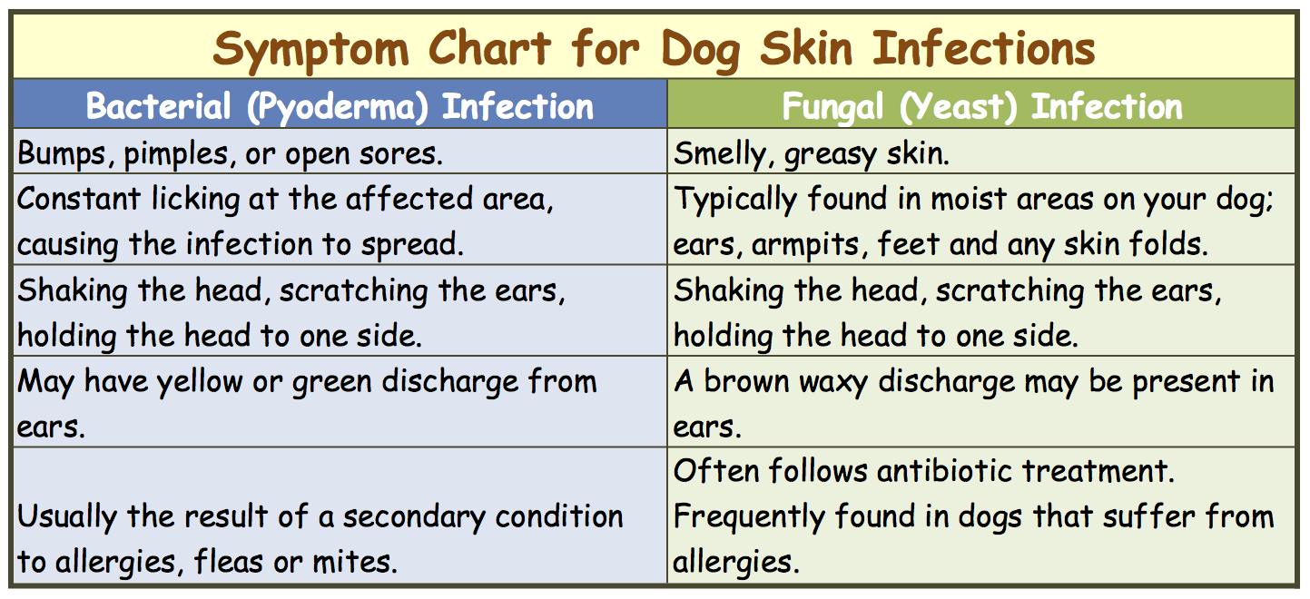 Skin Disorders Chart