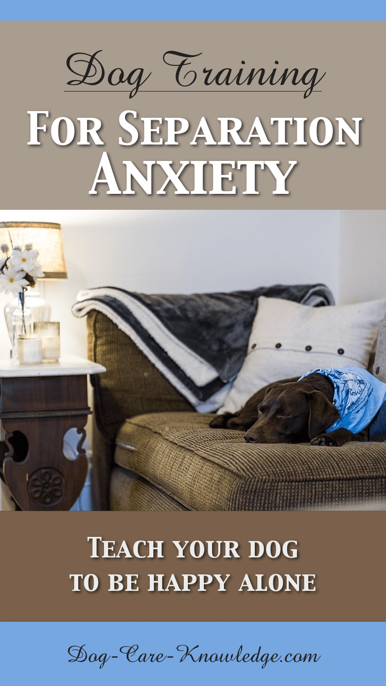 Dog Training for Separation Anxiety. How to Teach Your Dog To Be Alone
