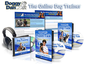 Doggy Dan the Online Dog Trainer