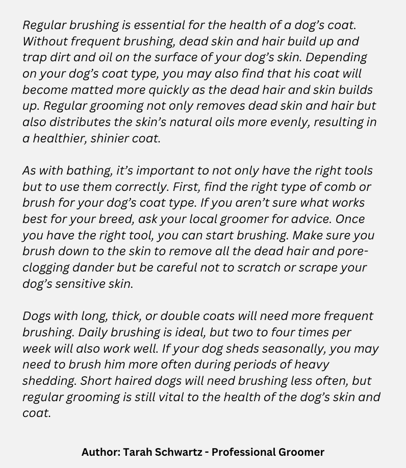 Groomer quote 2 - Tarah