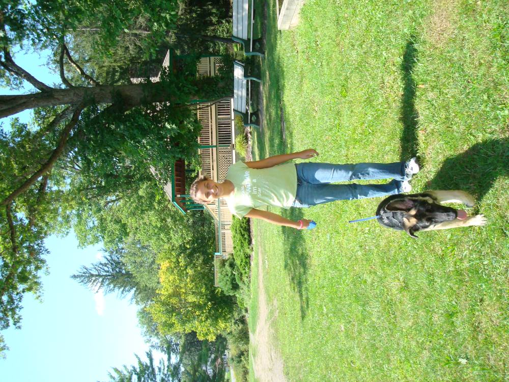 Young girl walking a German Shepherd puppy dog GSD on a Walk