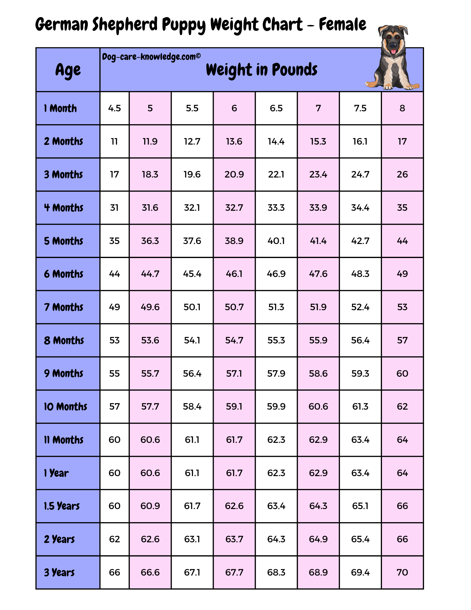 How Much Should A 2 Year Old German Shepherd Weight