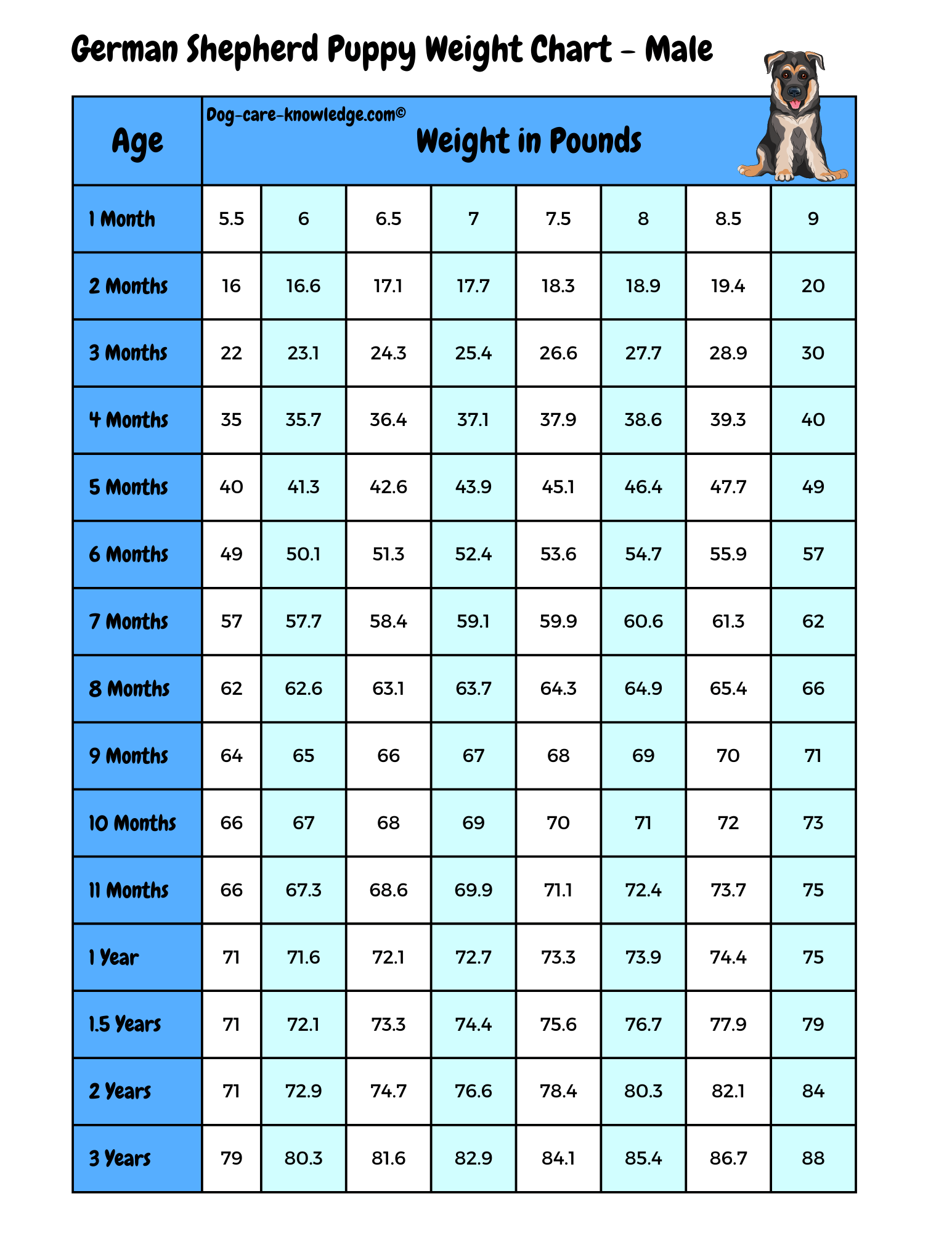 how much should a 4 month old german shepherd weight