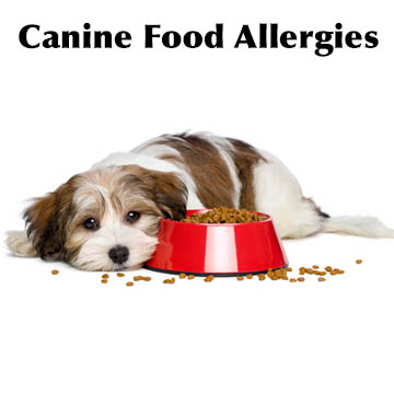 Make Your Own Dog Food For Allergies Make Your Own Dog Food For Allergies