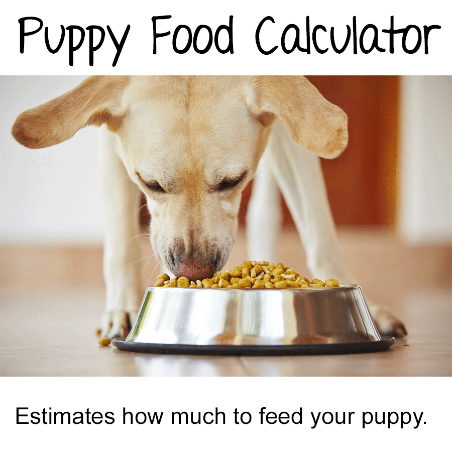 Puppy Growth Chart for Doodles and Interactive Calculator!