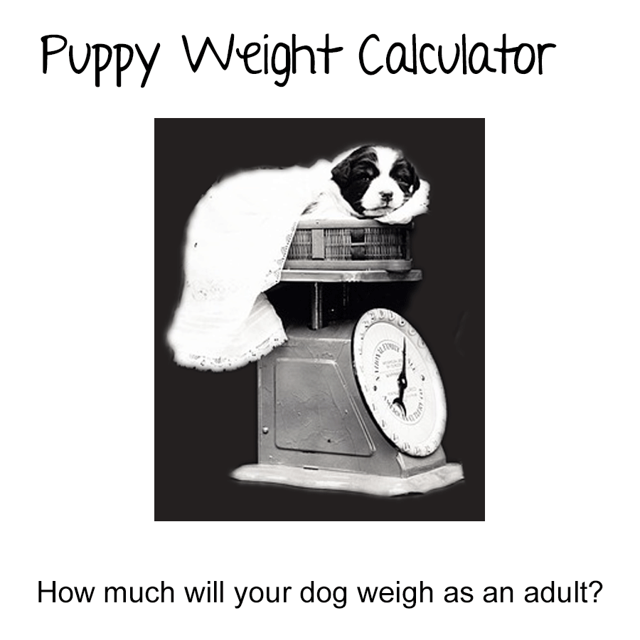 Puppy Estimated Weight Chart