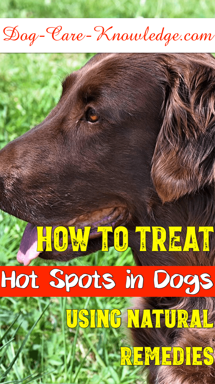 healing hot spots on dogs naturally