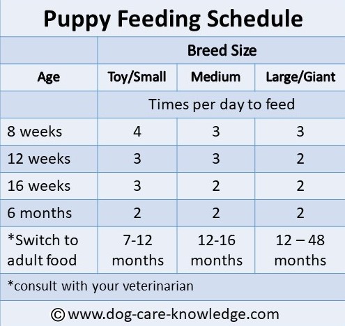 Puppy Feeding Schedule Chart