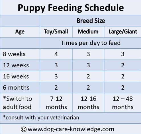 Puppy Feeding Chart By Weight