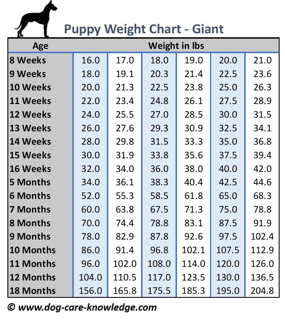 Boxer Puppy Growth Weight Chart