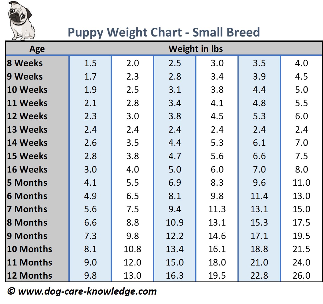 Boxer Puppy Growth Weight Chart
