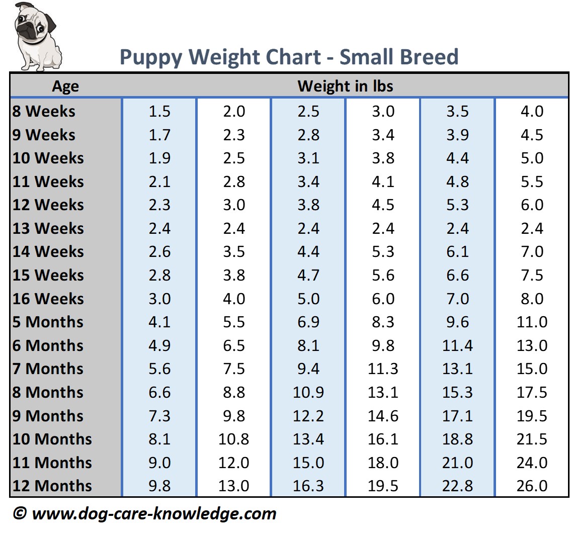 Dog Weight Chart By Age And Breed