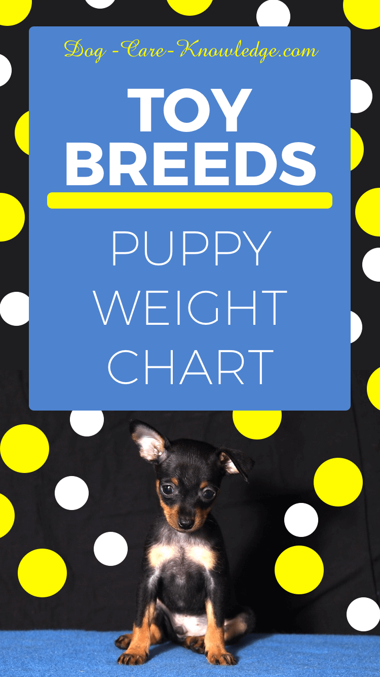 Dog Breed Weight Chart