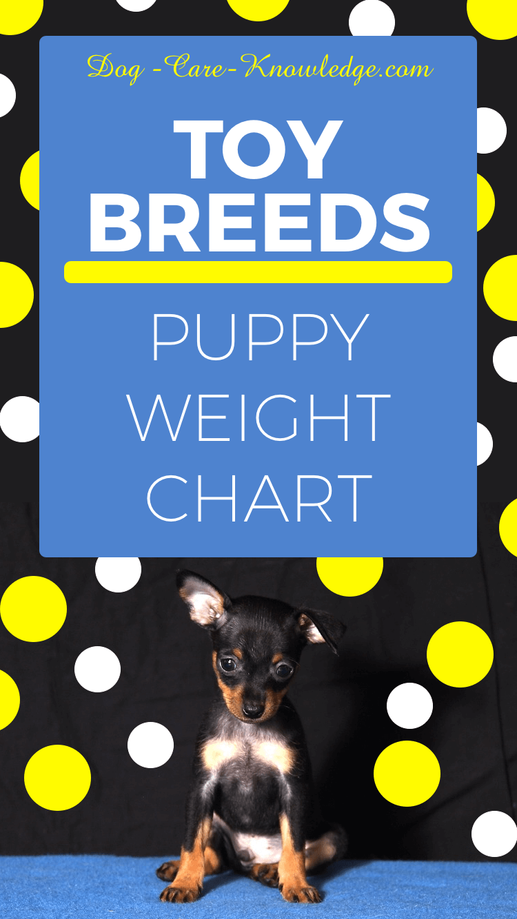 Puppy Weight Chart This Is How Big