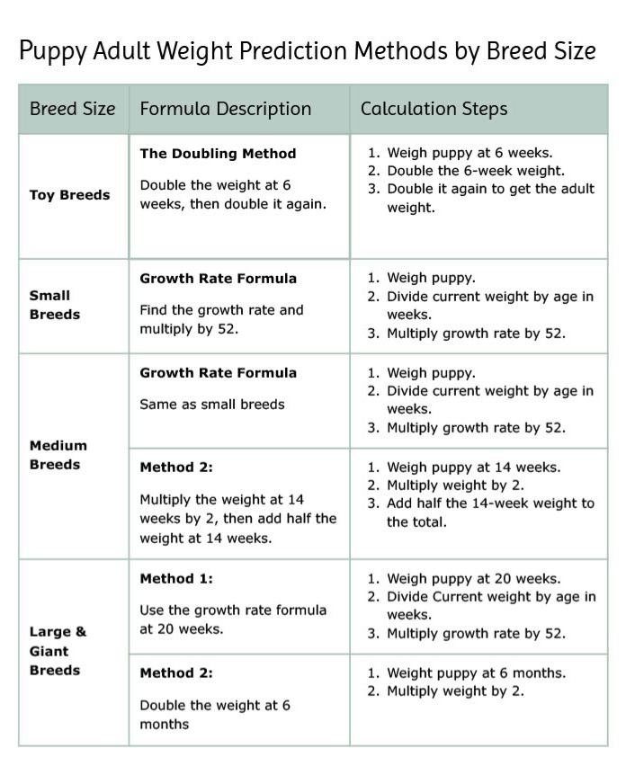 Puppy Weight Estimator Formulas