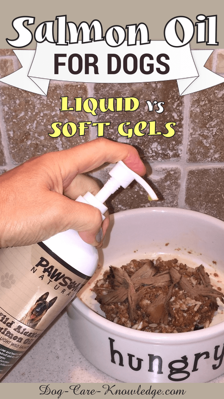 This Is Why Salmon Oil For Dogs Is So Popular!