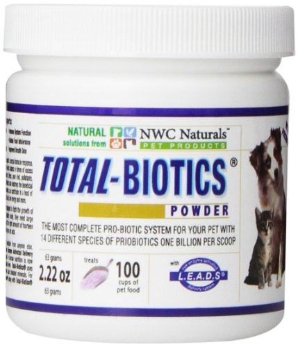 Yeast Infection In Dogs: How To Really Conquer It!