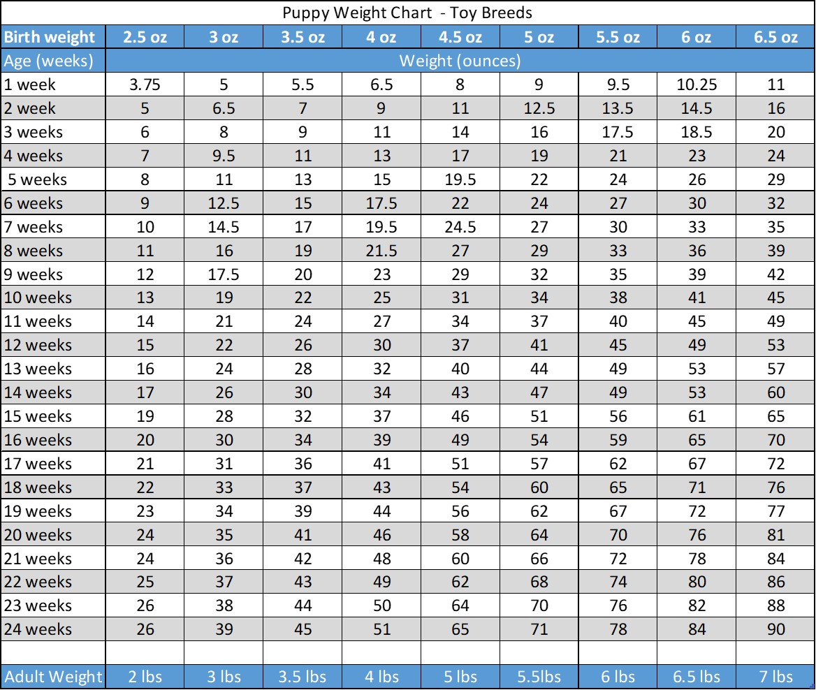 Puppy Weight Chart: This is How Big Your Dog Will Be