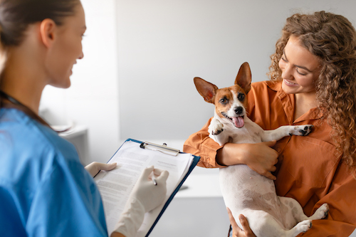 Vet taking details of a dogs weight for a chart