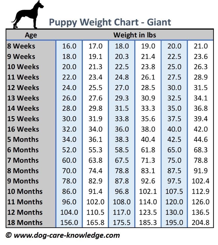 Puppy weight chart for giant breeds in pounds