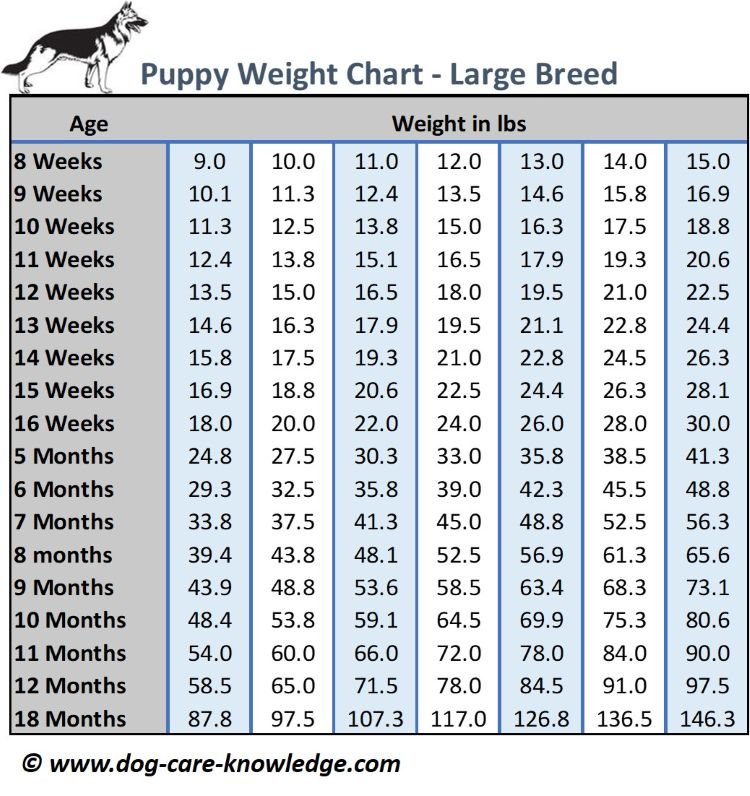 Puppy weight chart for large breeds in pounds